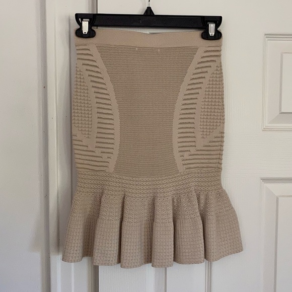 NEW Ronny Kobo Collection Joni Cream Skirt - Picture 4 of 6